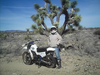 Jac On Her Green Dirtbike Joshua Tree Forest Image
